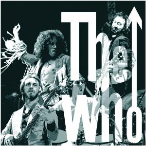 The Who The Ultimate Collection album cover