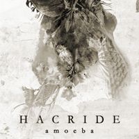 Hacride - Amoeba CD (album) cover