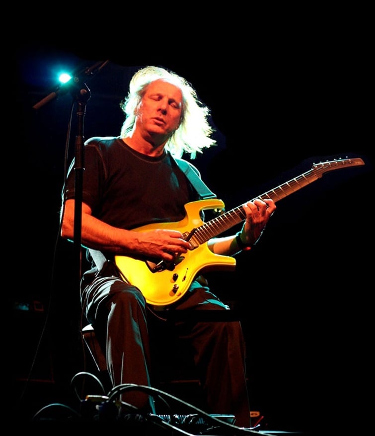 Adrian Belew picture
