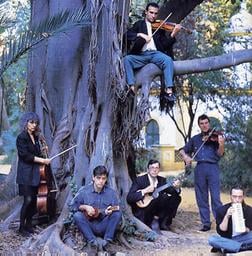 The Penguin Cafe Orchestra picture