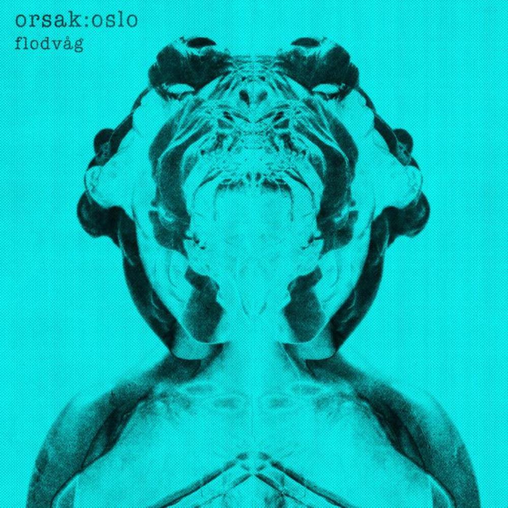 Orsak:Oslo Flodvag album cover