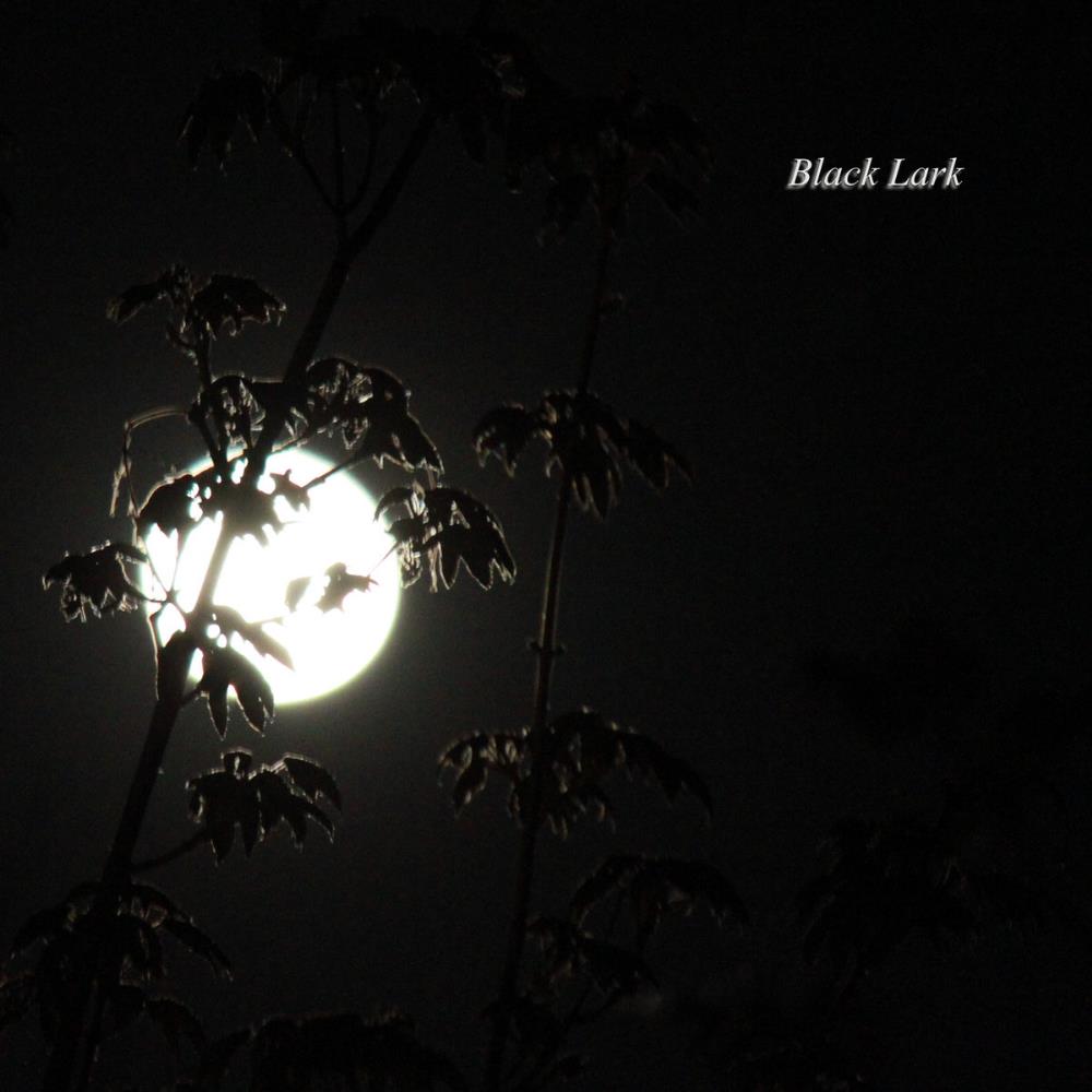 Glaswald Black Lark album cover