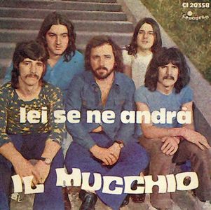 Il Mucchio Lei Se Ne Andr/ Il Giullare album cover