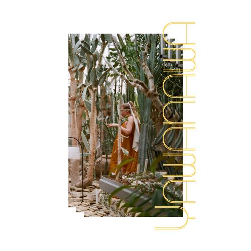 Obligod / ex Fox Territory Yawanawa album cover