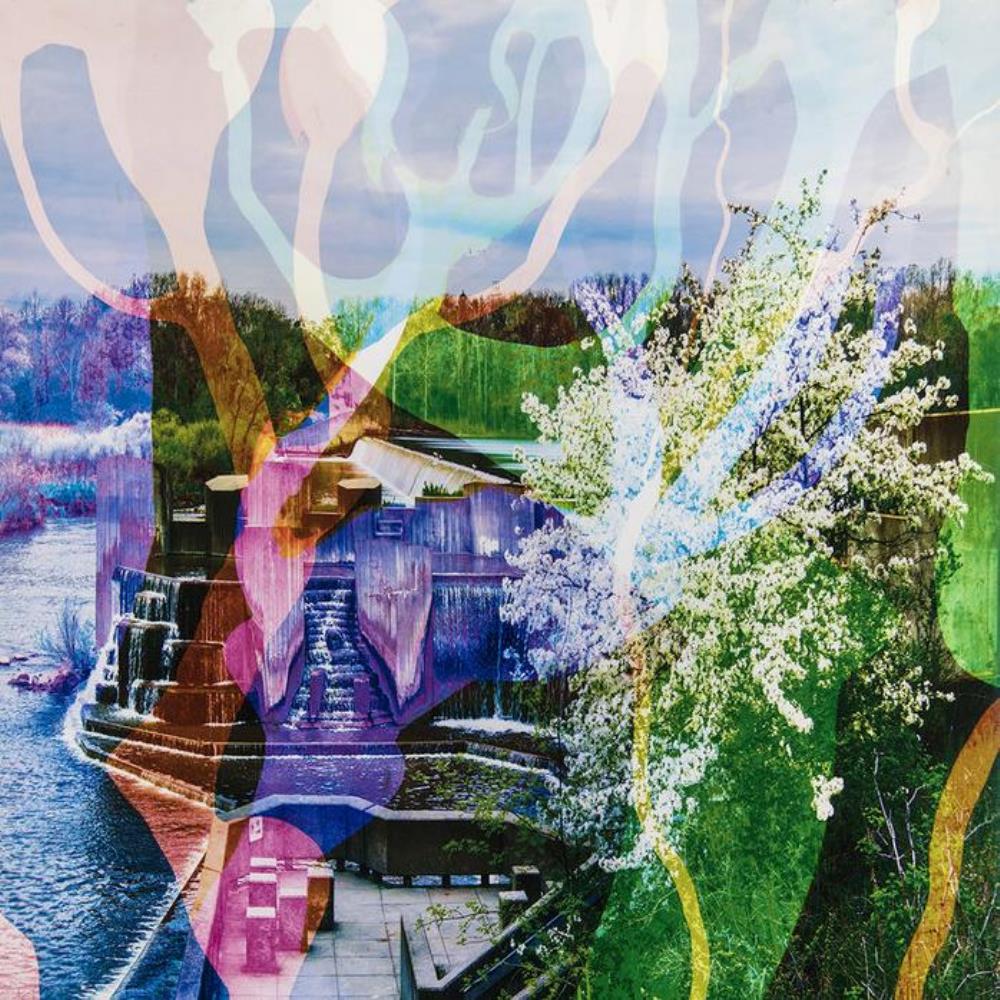 Tarotplane - The Misunderstood Abandoned Aquarium Of The Afterlife CD (album) cover