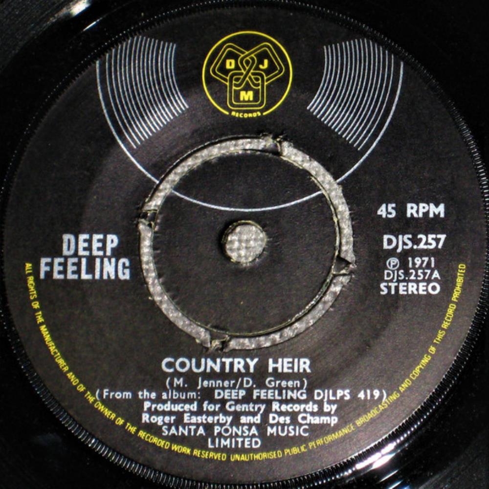 Deep Feeling Country Heir / We've Thrown It All Away album cover
