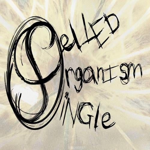 Single Celled Organism Splinter in the Eye album cover
