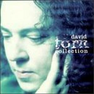 David Torn Collection album cover