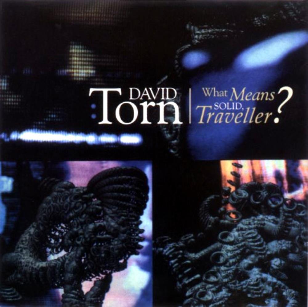 David Torn - What Means Solid, Traveller? CD (album) cover