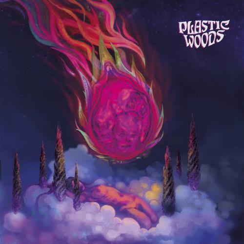 Plastic Woods Dragonfruit album cover
