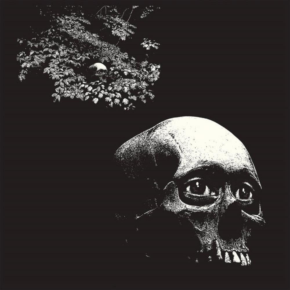 Thee Oh Sees - A Foul Form CD (album) cover