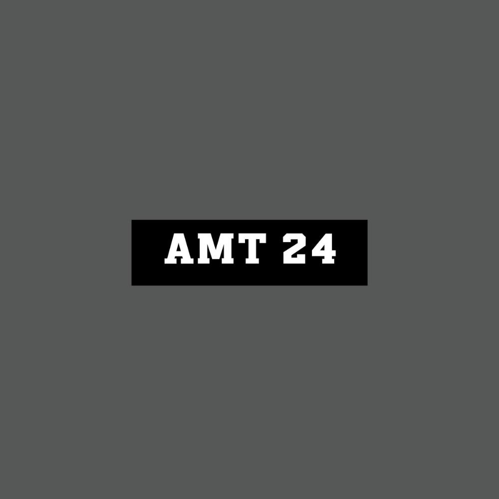 Acid Mothers Temple AMT 24 album cover