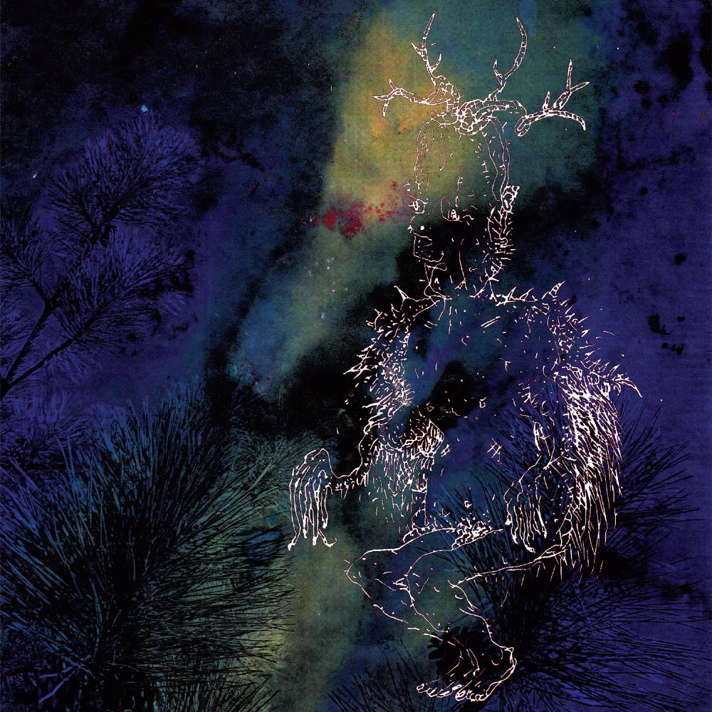 Bardo Pond Under the Pines album cover