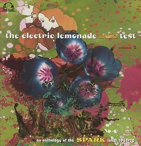 Various Artists (Concept albums & Themed compilations) - The Electric Lemonade Acid Test - Volume 3 CD (album) cover