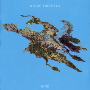 Steve Tibbetts Big Map Idea album cover