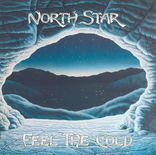 North Star Feel The Cold album cover