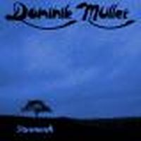 Dominik Mller Sturmweh album cover