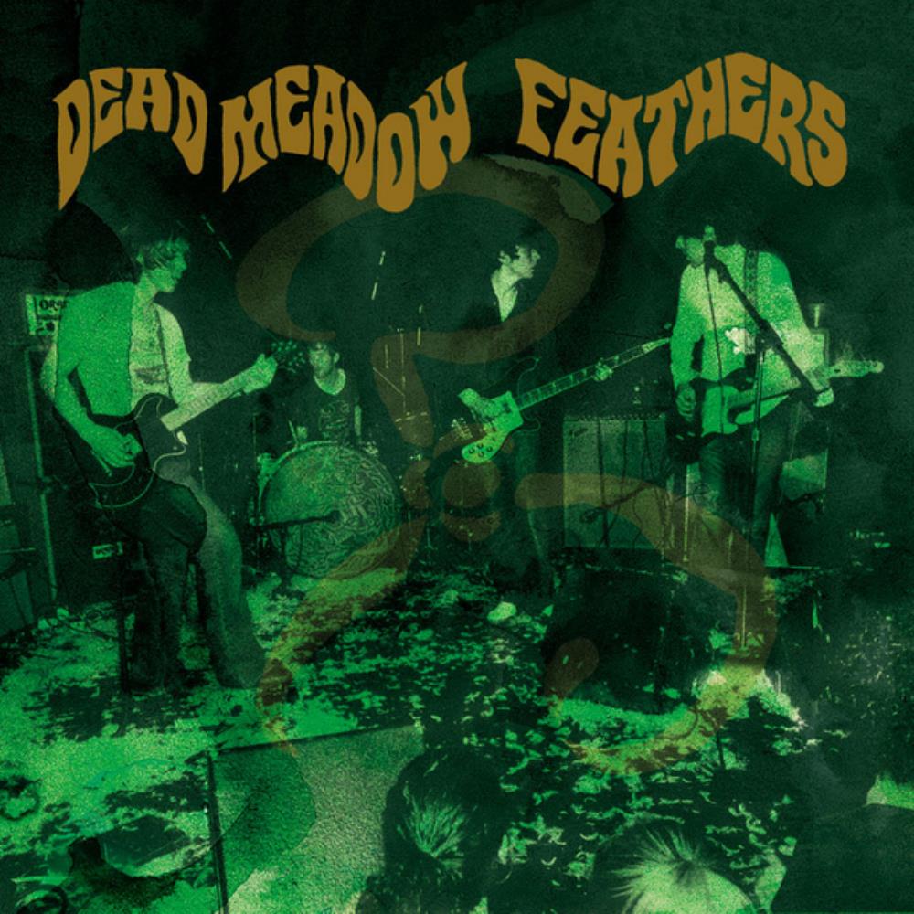 Dead Meadow Feathers album cover