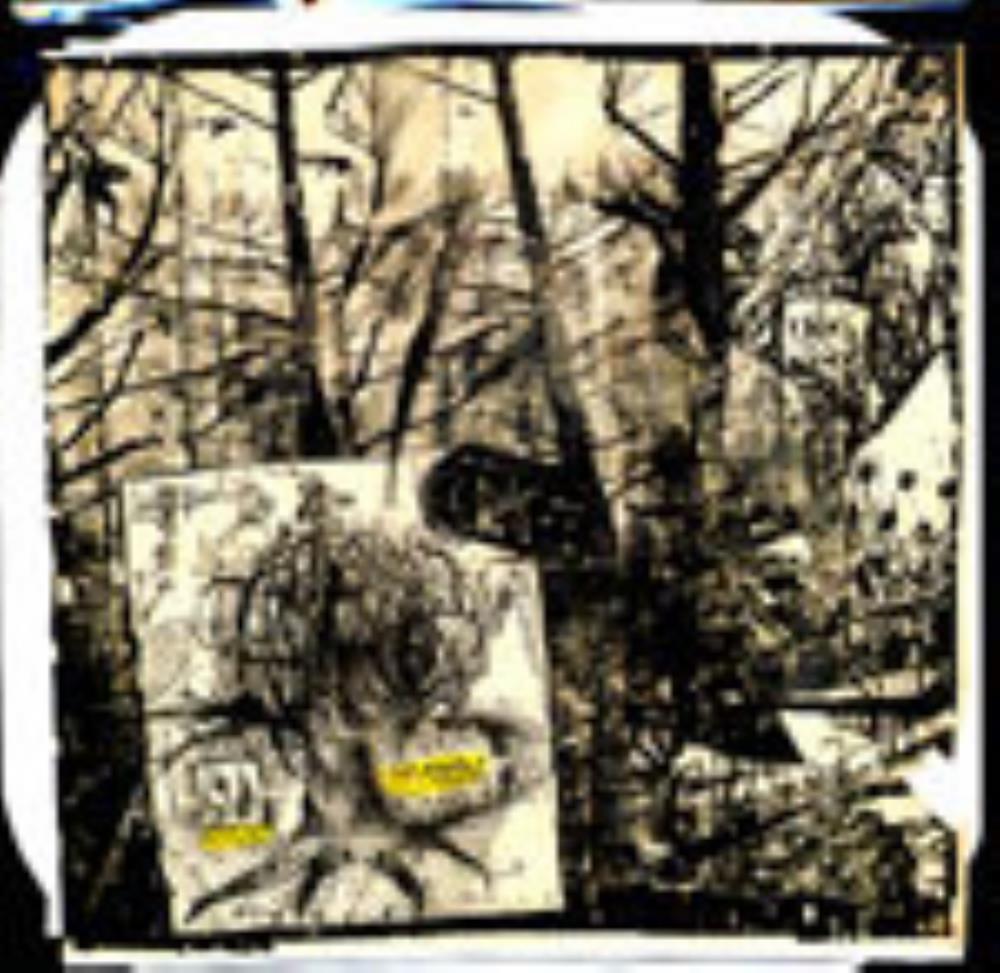 Deerhoof - Dirt Pirate Creed CD (album) cover