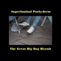 Superluminal Pachyderm The Great Big Dog Biscuit album cover