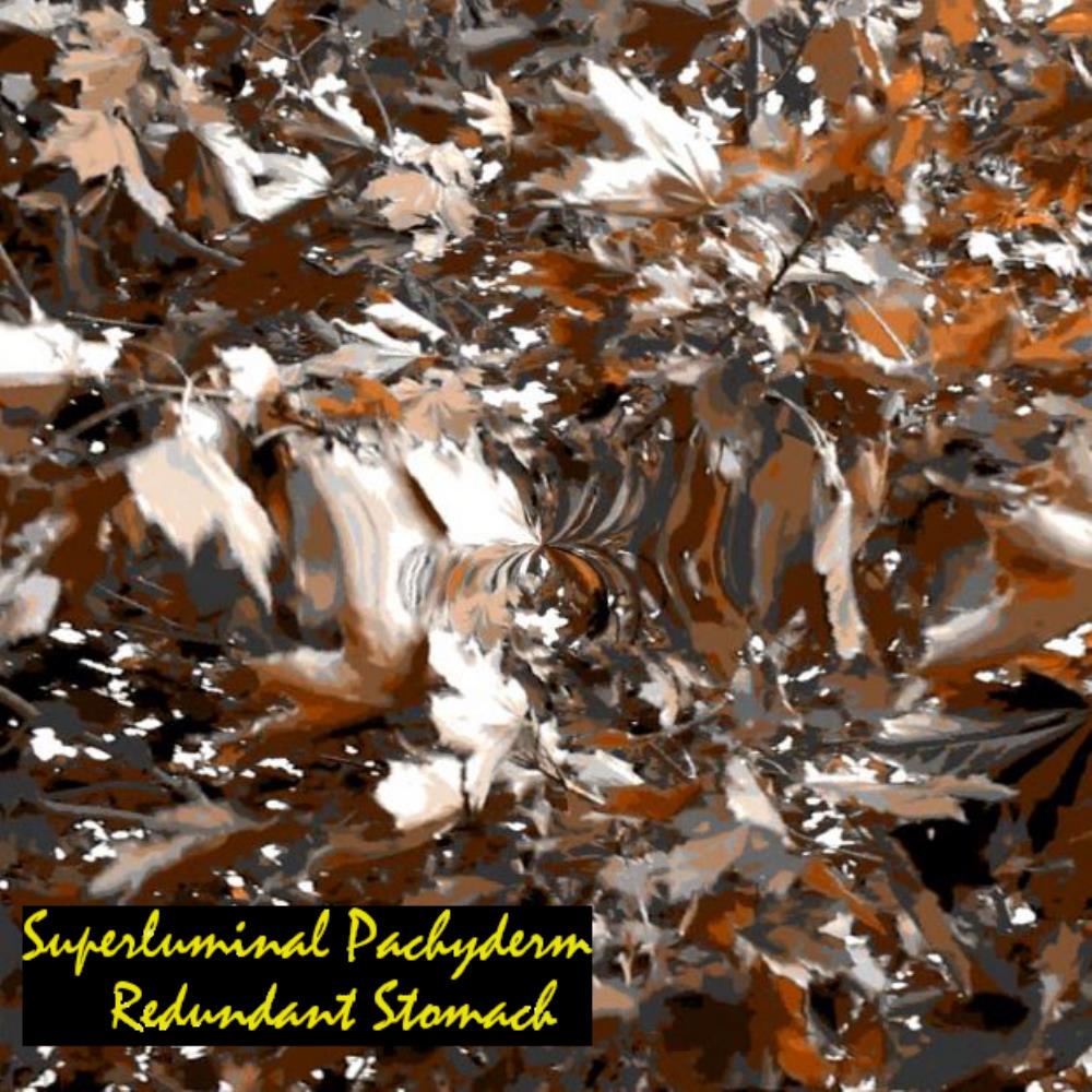 Superluminal Pachyderm Redundant Stomach album cover
