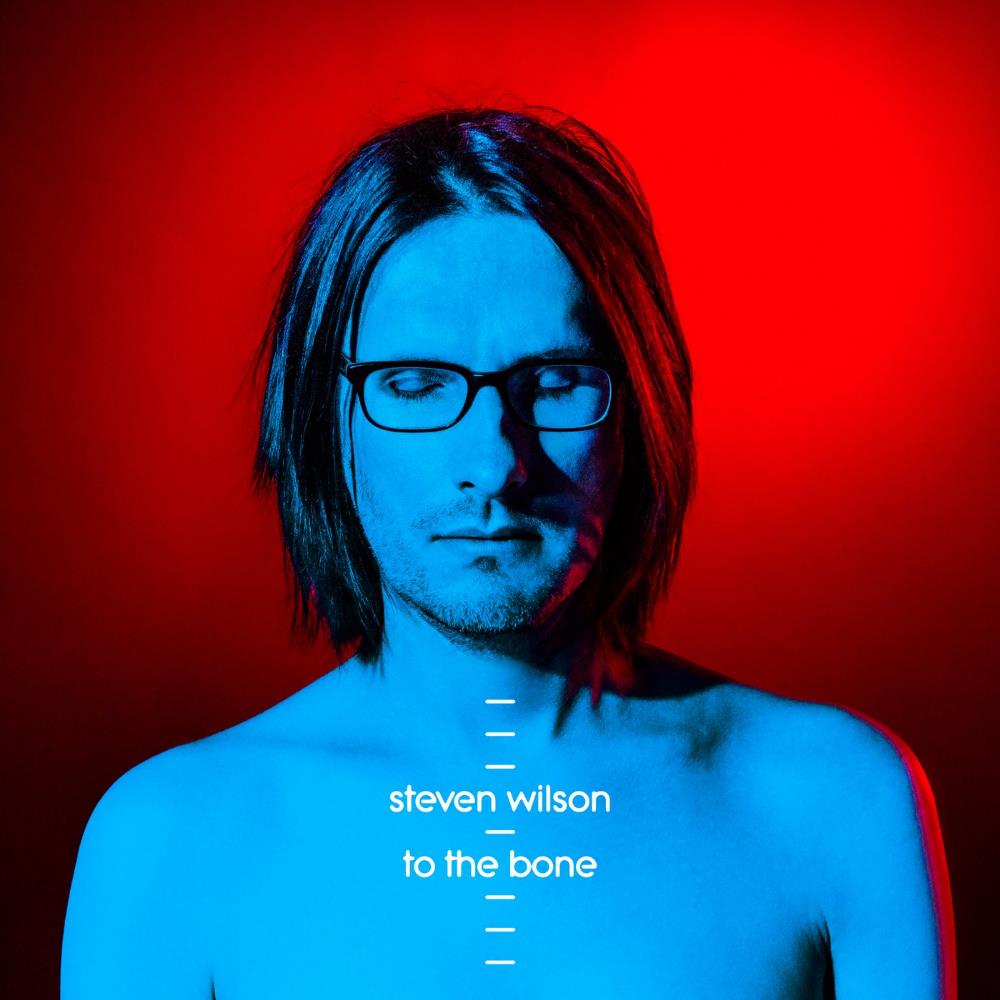 Steven Wilson To the Bone album cover