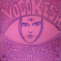 The Vocokesh - Still Standing In The Same Garden CD (album) cover