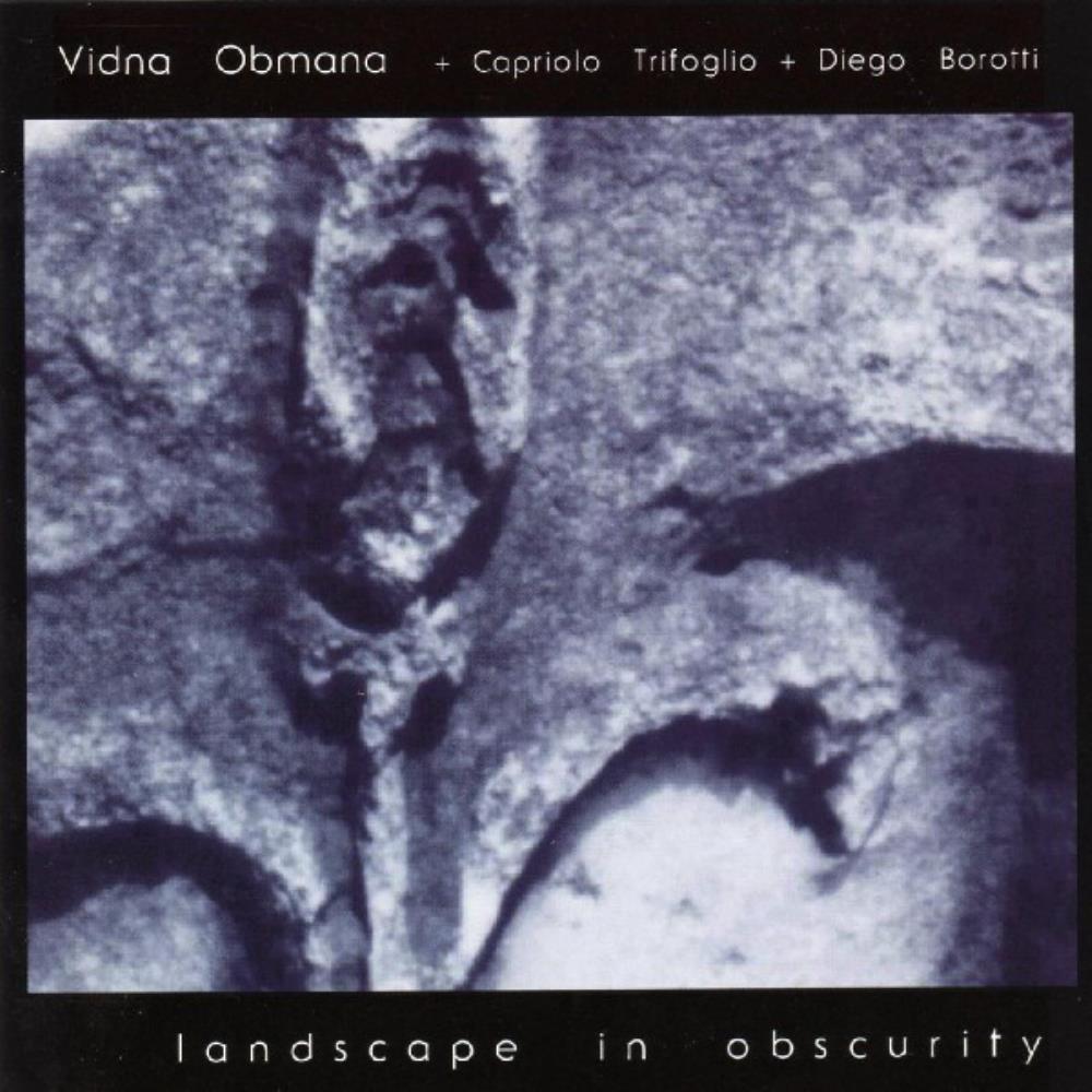 Vidna Obmana Landscape In Obscurity album cover