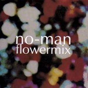 No-Man Flowermix album cover