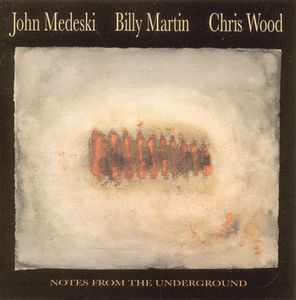 Medeski  Martin & Wood Notes from the Underground album cover