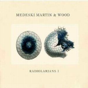 Medeski  Martin & Wood Radiolarians I album cover