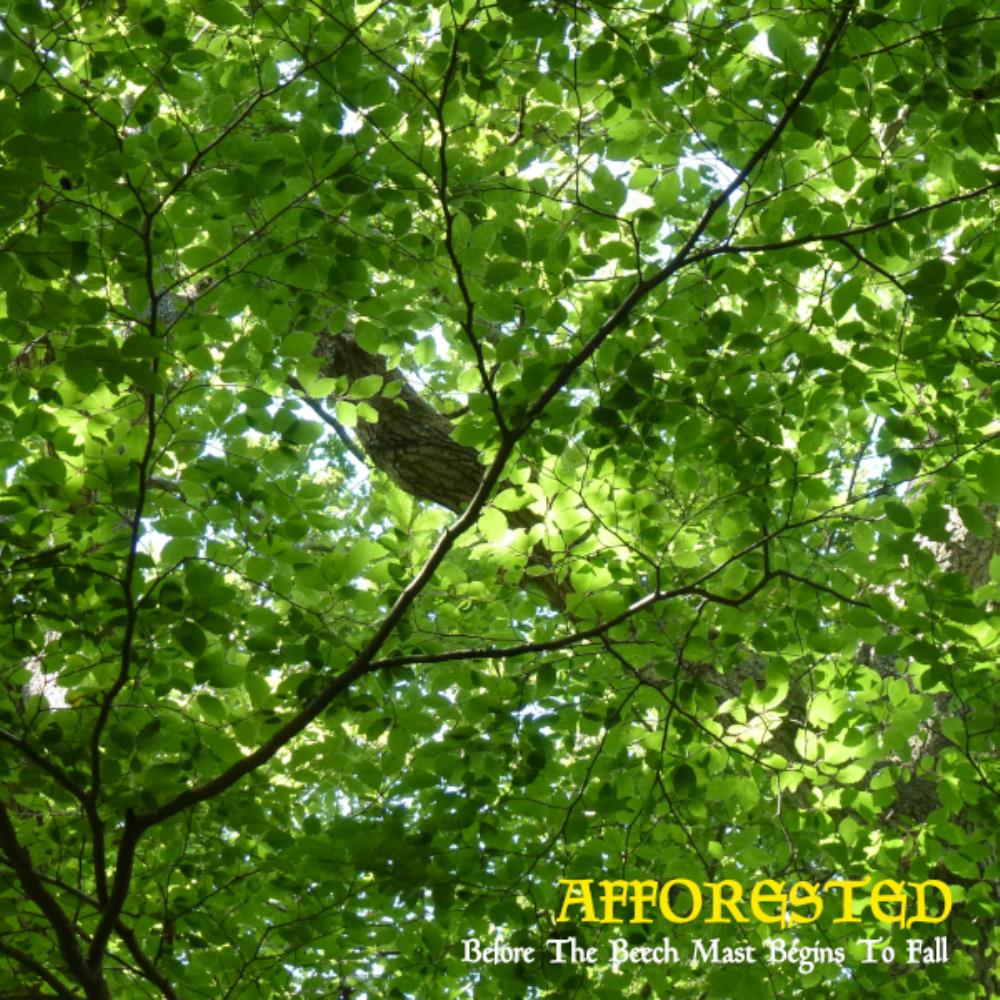 Afforested - Before the Beech Mast Begins to Fall CD (album) cover