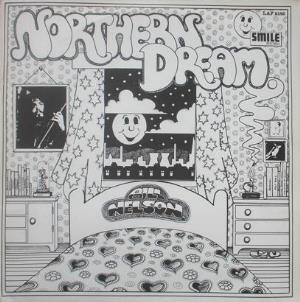 Bill Nelson Northern Dream album cover