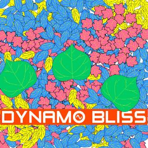 Dynamo Bliss Poplar Music album cover