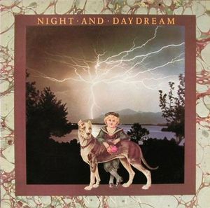 Ananta Night and Daydream album cover