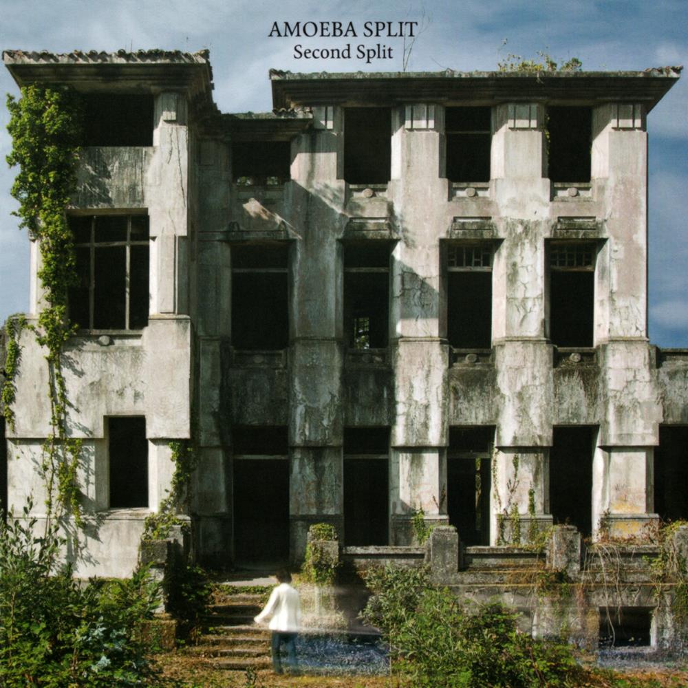 Amoeba Split Second Split album cover