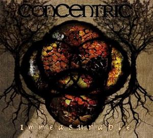 Concentric - Immeasurable CD (album) cover