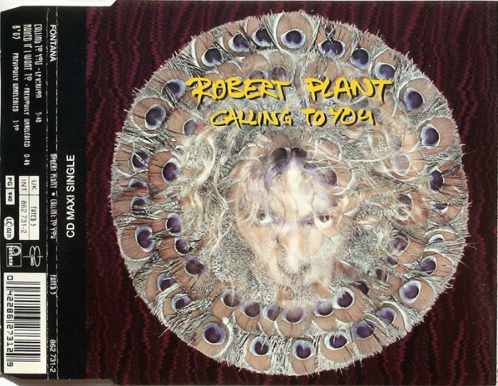 Robert Plant Calling To You album cover
