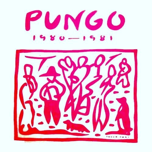 Pungo 1980 - 1981 album cover