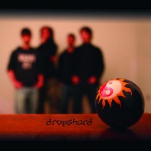 Dropshard DSI album cover