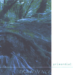 Transience Primordial album cover