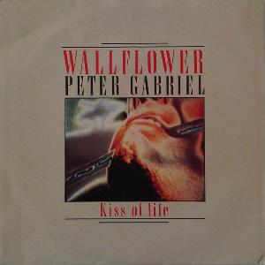 Peter Gabriel Wallflower album cover