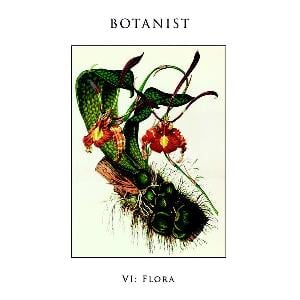 Botanist VI: Flora album cover