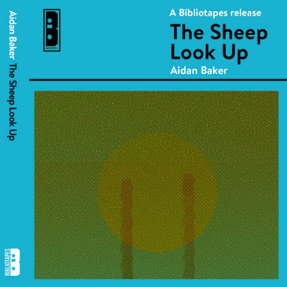 Aidan Baker The Sheep Look Up album cover