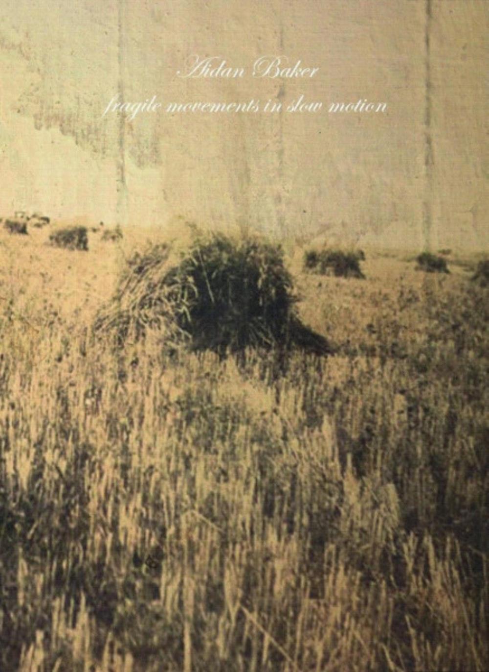 Aidan Baker Fragile Movements in Slow Motion album cover