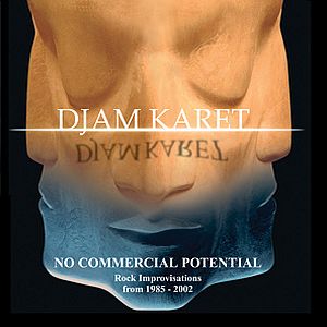 Djam Karet No Commercial Potential, Rock Improvisations from 1985-2002 album cover