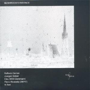 Mushroom's Patience - Solo Tracks CD (album) cover