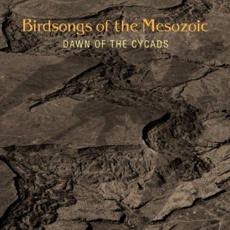 Birdsongs Of The Mesozoic - Dawn of the Cycads CD (album) cover
