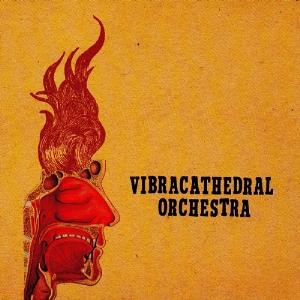 Vibracathedral Orchestra - Wisdom Thunderbolt CD (album) cover