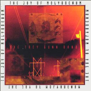 Trey Gunn - The Trey Gunn Band - The Joy of Molybdenum CD (album) cover
